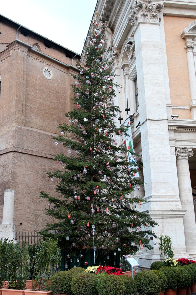 Italy (Jan 2012) 167.jpg